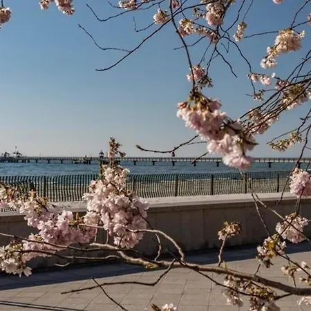 Haus Jutta - 1 Apartment